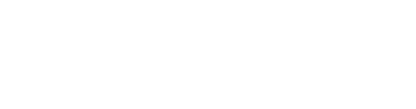 hurricane logo white